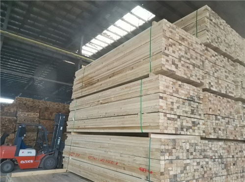 鐵嶺建筑木方、木跳板與落葉松批發 建材市場的可靠選擇