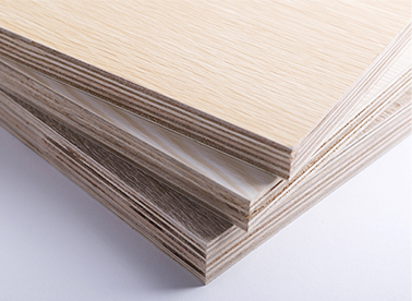 西林木業 點滴關愛，從我做起，共筑綠色家園